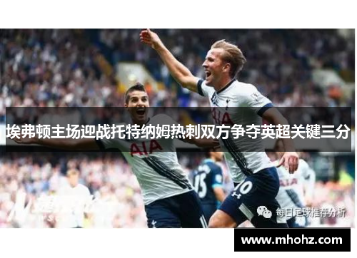 埃弗顿主场迎战托特纳姆热刺双方争夺英超关键三分