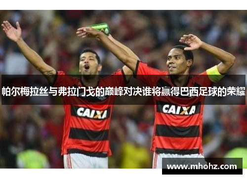 帕尔梅拉丝与弗拉门戈的巅峰对决谁将赢得巴西足球的荣耀