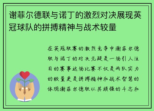 谢菲尔德联与诺丁的激烈对决展现英冠球队的拼搏精神与战术较量
